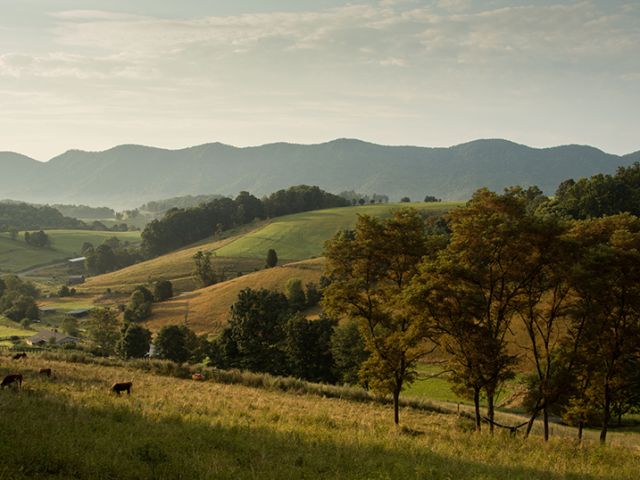 Virginia Landscape